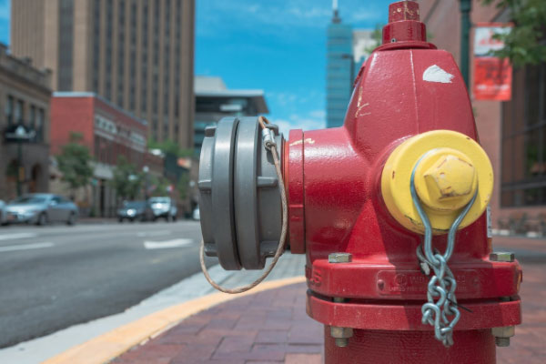 �������������Ҳ���֤ȥ���￼����Ҫ����Ǯ��