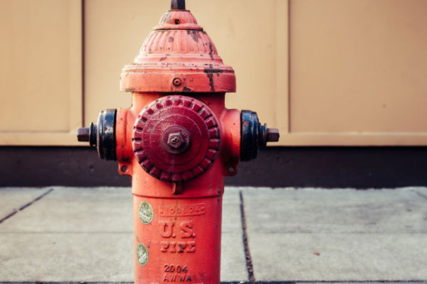 ��Ҵ���������Ҳ���֤ȥ���￼����Ҫ����Ǯ��