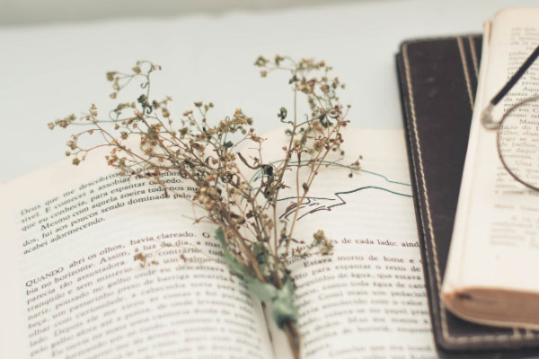 �����й����б���۸��_�շѱ�׼����Ǯ