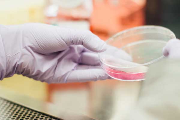 �����й����б���۸��_�շѱ�׼����Ǯ