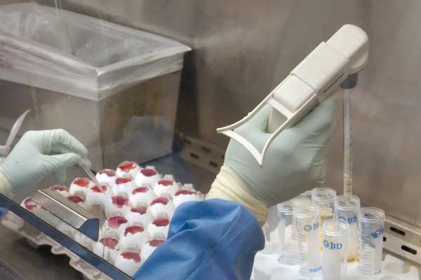 �Ϸ��й����б���۸��_�շѱ�׼����Ǯ