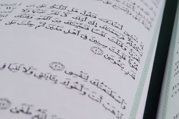  ��ͬ�й����б���۸��_�շѱ�׼����Ǯ