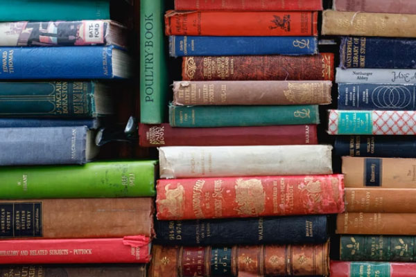 �����첼�й����б���۸��_�շѱ�׼����Ǯ