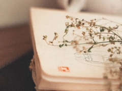 ��ɳ��֧һ��������Դ_��Ƶ/