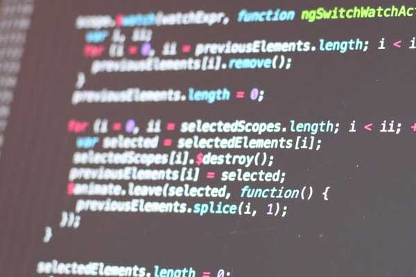 嘉兴三支一扶网课资源_视频