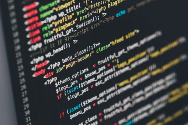 绍兴三支一扶网课资源_视频