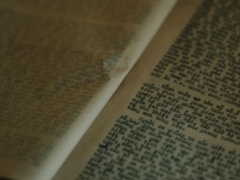 2022����ݾ�����ְ������ѵ/