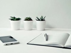 2022���˲�������ְ������ѵ/