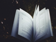 2022����������ְ������ѵ/