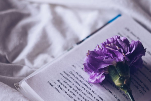 �Ͼ������ٶ�Ӣ����ѵ�������У��ĸ��ã�