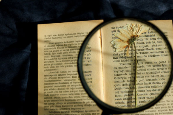 �Ϸʽ����ٶ�Ӣ��Ԥ�����ļҺ�