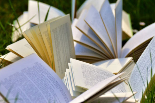 ���ݿ�����ѵ����ü۸��