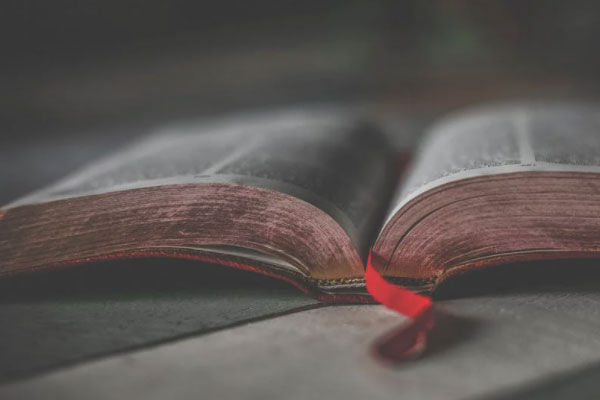 ֣�ݿ�����ѵ��������ǰʮ