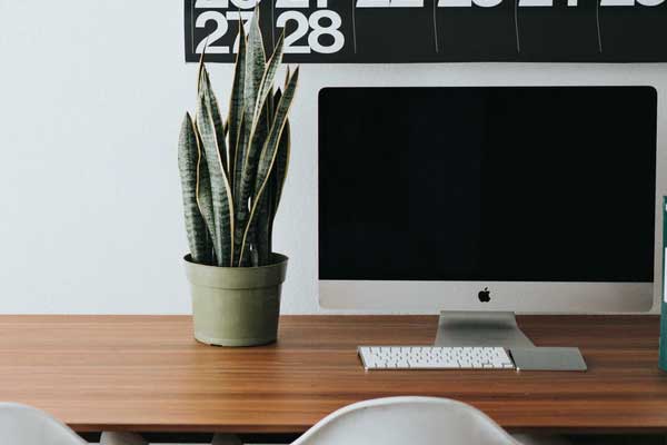 �ɶ��������Ӿ����ʦ��ѵ��