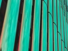 �����м���ȫ����ʦ��ѵ���ö���Ǯ/