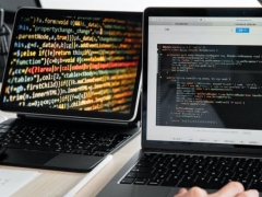 ��ɽ���������ѵ���ĸ���_�۸����Ǯ/