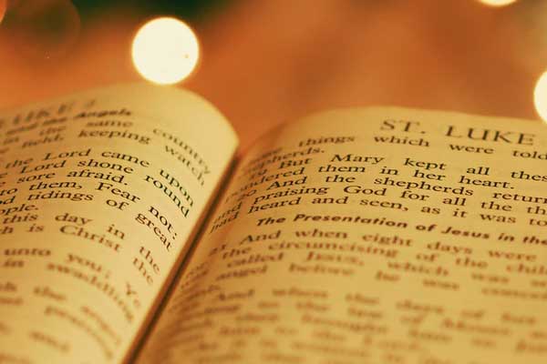 ��ͨ������ѵ��������