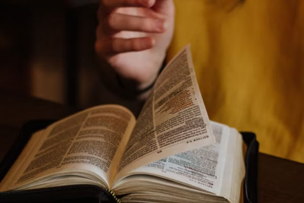 泰安考研培训机构哪家好