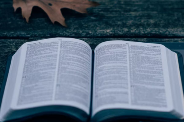 �Ͳ�������ѵ�����ļҺ�