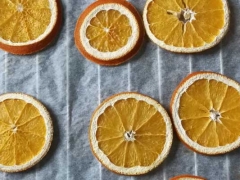 ����ִҵ��ҩʦ�ĸ���ѵ������/