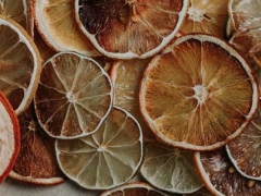 �Ϻ�ִҵ��ҩʦ�ĸ���ѵ������/