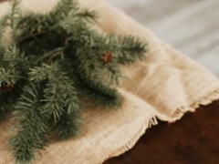 ����ִҵ��ҩʦ�ĸ���ѵ������/