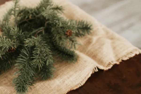 ����ִҵ��ҩʦ�ĸ���ѵ������