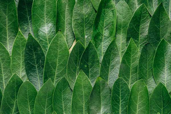 ����ִҵ��ҩʦ�ĸ���ѵ������