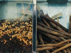 ʯ��ׯִҵ��ҩʦ�ĸ���ѵ������/