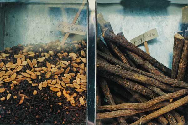 ʯ��ׯִҵ��ҩʦ�ĸ���ѵ������