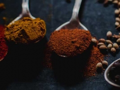 �ӱ�ִҵ��ҩʦ�ĸ���ѵ������/