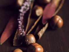 �ػʵ�ִҵ��ҩʦ�ĸ���ѵ������/