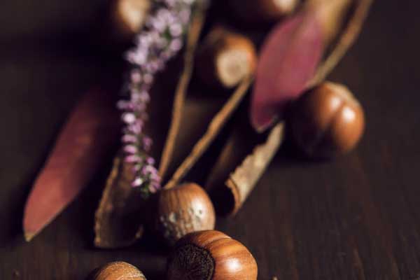 �ػʵ�ִҵ��ҩʦ�ĸ���ѵ������