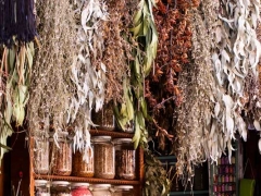 ����ִҵ��ҩʦ�ĸ���ѵ������/