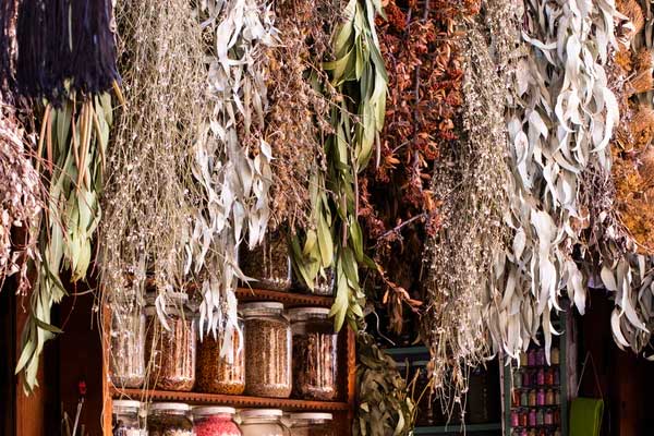 ����ִҵ��ҩʦ�ĸ���ѵ������