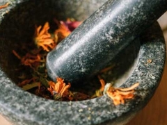 ��Ϫִҵ��ҩʦ�ĸ���ѵ������/