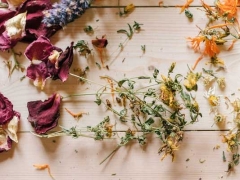 ��˳ִҵ��ҩʦ�ĸ���ѵ������/