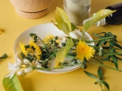 ����ִҵ��ҩʦ�ĸ���ѵ������/