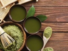 �㽭ִҵ��ҩʦ�ĸ���ѵ������/