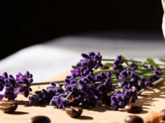 ����ִҵ��ҩʦ�ĸ���ѵ������/