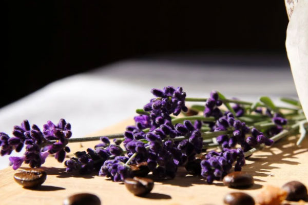 ����ִҵ��ҩʦ�ĸ���ѵ������