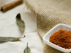 ��ִͨҵ��ҩʦ�ĸ���ѵ������/