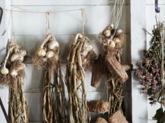 ����ִҵ��ҩʦ�ĸ���ѵ������/