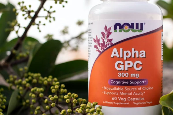 ����ִҵ��ҩʦ�ĸ���ѵ������