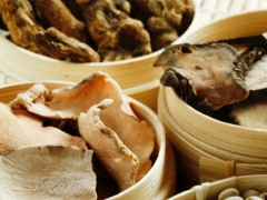 ����ִҵ��ҩʦ�ĸ���ѵ������/