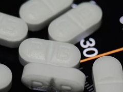 ����ִҵ��ҩʦ�ĸ���ѵ������/