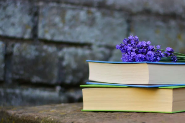 ����������ѵѧУ���շѶ���Ǯ