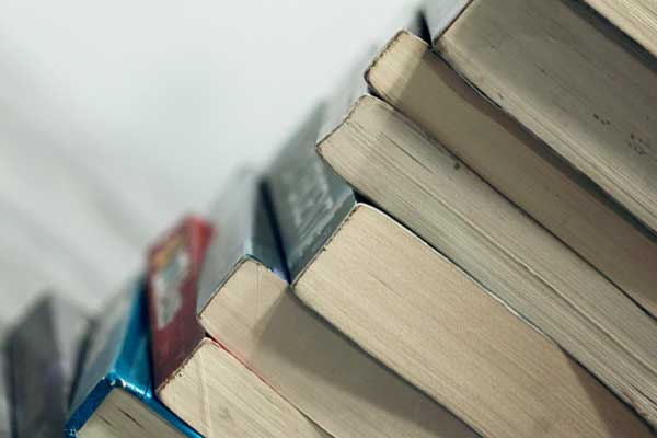 ���ݿ�����ѵ��������Щ