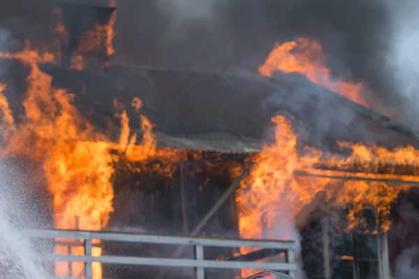 ����Ӧ����ԮԱ��ѵ��������Щ