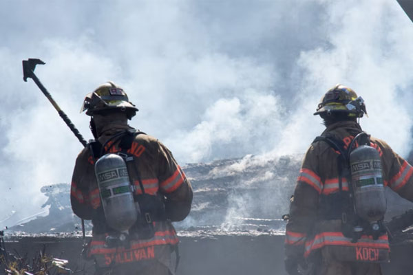 ��Ӧ����ԮԱ��ѵ��������Щ